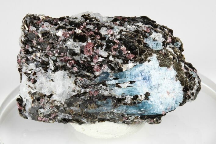 Blue Kyanite & Garnet in Biotite-Quartz Schist - Russia #178936